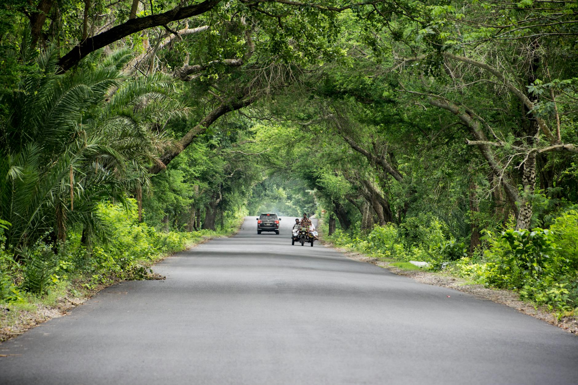 MG, SP e RS puxam expansão do Turismo Rural e Hotéis Fazenda