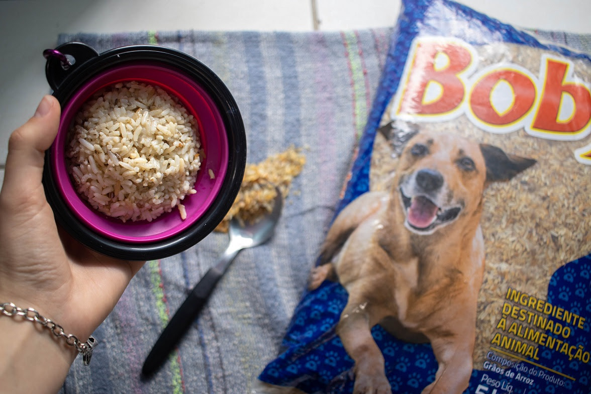 Evitando desperdício, empresa de alimentos aposta no arroz para cães