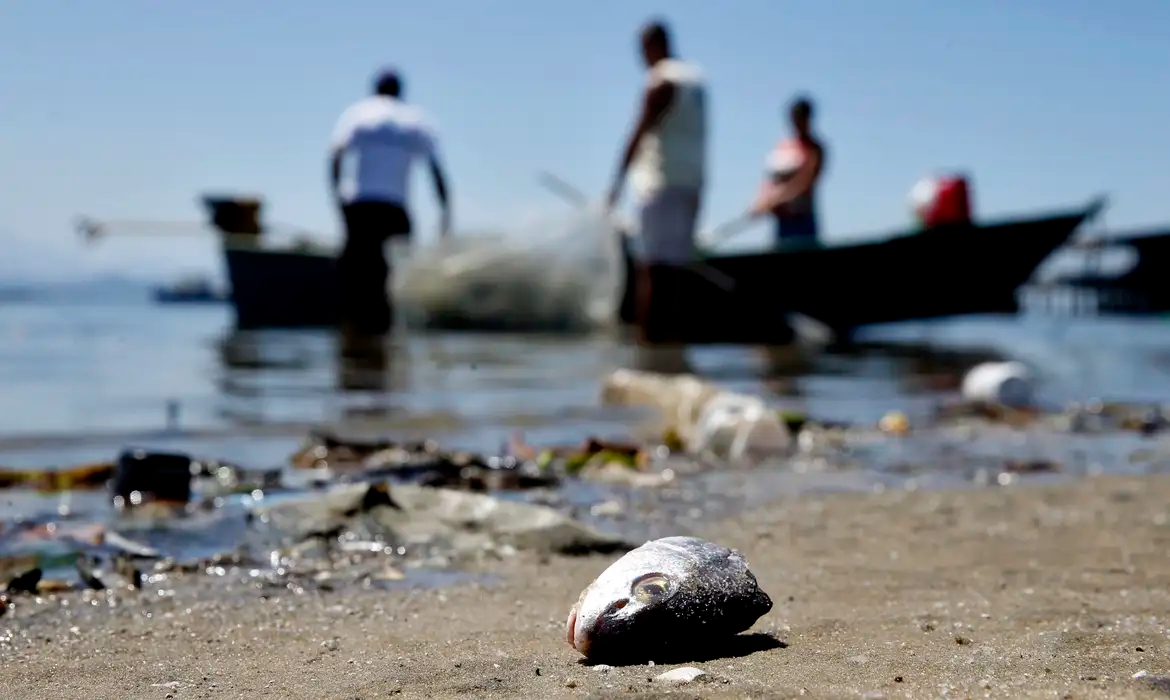 Rede ambiental traça caminhos para redução de lixo no mar no RJ